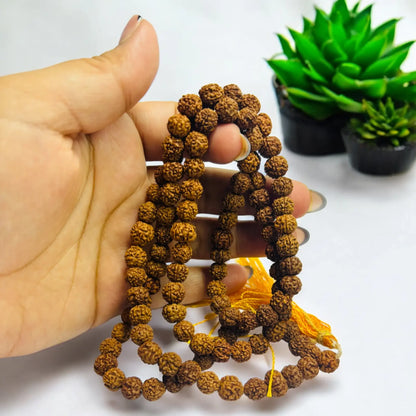 108 Bead Rudraksha Mala - Ancient Power for Modern Spiritual Warriors